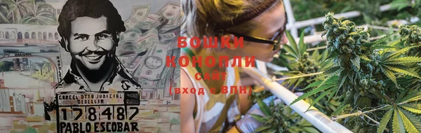 соль ск Кукмор