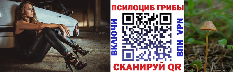 Псилоцибиновые грибы Cubensis  Называевск 