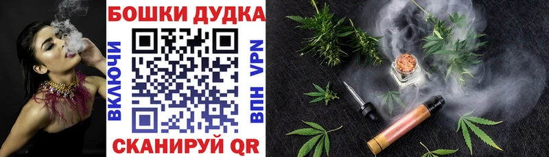 Бошки Шишки Amnesia Называевск